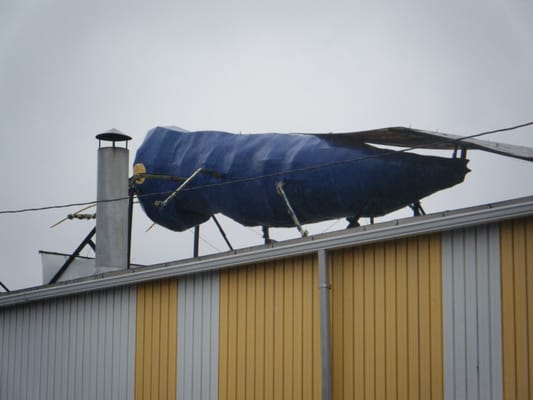 Big Blue Bug Solutions by null