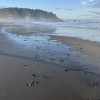 Quileute Oceanside Resort - Hotels Near Me - La Push, Washington