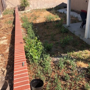 Re-Leaf Landscape - Before... - Landscaping Near Me - Winchester, California Re-Leaf Landscape - Before... - Landscaping Near Me - Winchester, California