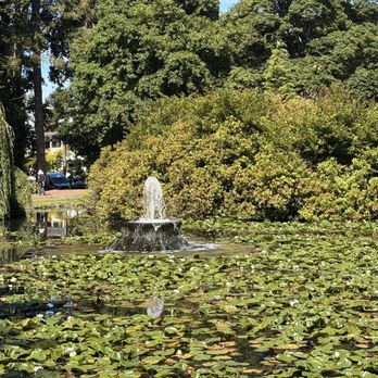 Beacon Hill Park - Parks Near Me - Victoria, British Columbia Beacon Hill Park - Parks Near Me - Victoria, British Columbia
