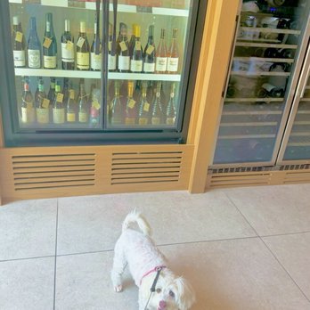 Teleferic Barcelona - Fendi at the entry and in front of the chilled bottles of vino - Spanish Near Me - San Diego, California Teleferic Barcelona - Fendi at the entry and in front of the chilled bottles of vino - Spanish Near Me - San Diego, California