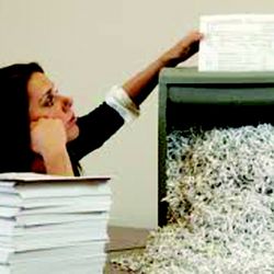 Goin' Postal - Document Shredding