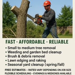 Local Yard And Tree Services