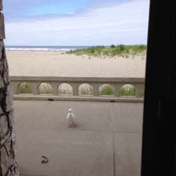 Seaside Aquarium - Can I come in?? - Aquariums Near Me - Seaside, Oregon
