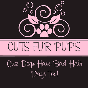 Cuts Fur Pups - Pet Groomers Near Me - Manchester, Connecticut Cuts Fur Pups - Pet Groomers Near Me - Manchester, Connecticut