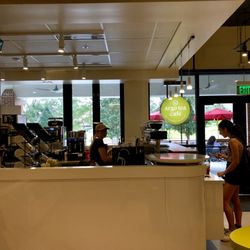 Argo Tea Café - Interior