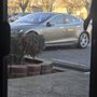 Photo of SV Auto Sales