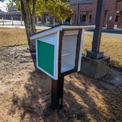 Little Free Library - Brann Little Free Library, 1000 Dave Gibson Blvd, Fort Mill