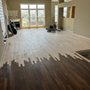 Photo of Faith Floors