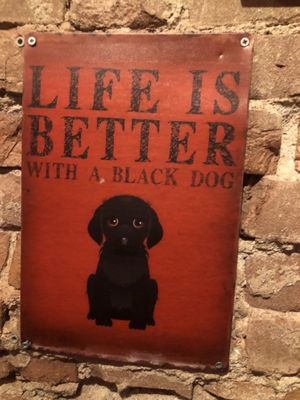 The Black Dog by null