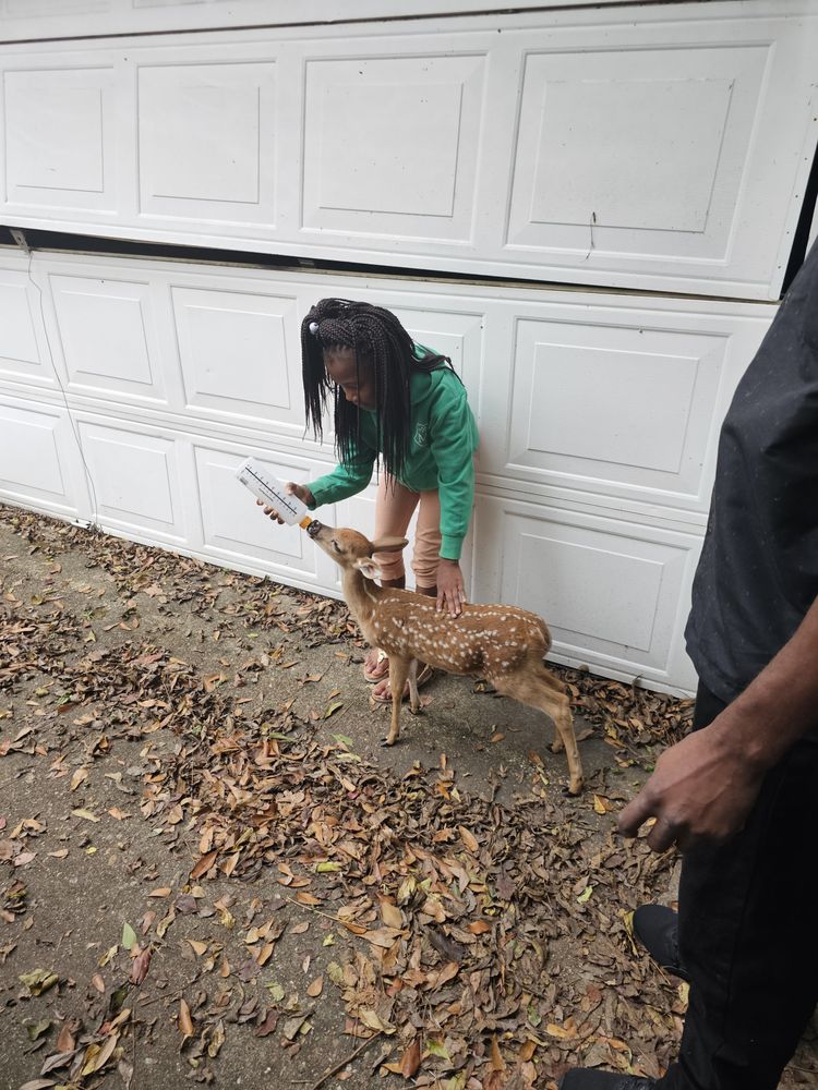 Twinkle Toes Playhouse - childcare center in Montgomery, AL