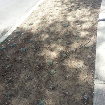 Green Design Group - Parkway - Landscape Architects or Designers Near Me