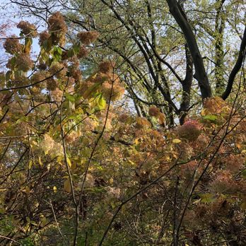 Sayen House & Gardens - Parks Near Me - Hamilton, New Jersey