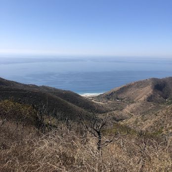 LifeRush Adventures - Tours Near Me - Santa Monica, California
