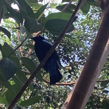 Sedgwick County Zoo - Another cool bird in the aviary. - Zoos Near Me - Wichita, Kansas