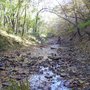 Photo of Mark L. McHenry Park
