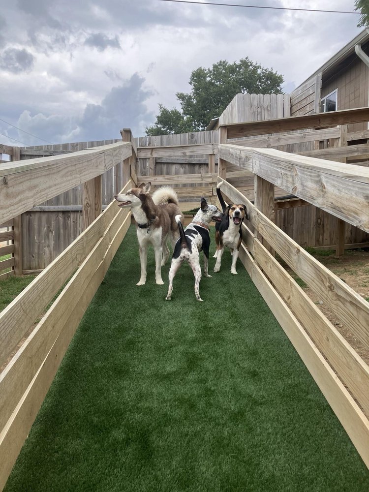 Dogville - pet boarding facility in Nashville, TN