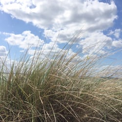 Schönberger Strand - Beach