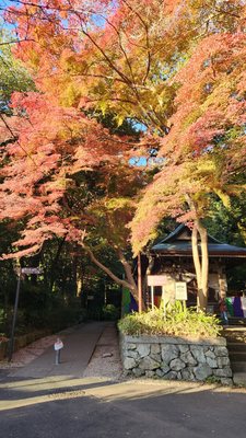 Jindaiji Temple by null