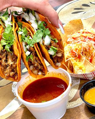 Elmer's Tacos by null