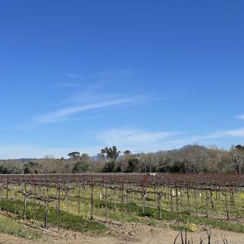 BACA Wines - Wine Tasting Room Near Me - Healdsburg, California