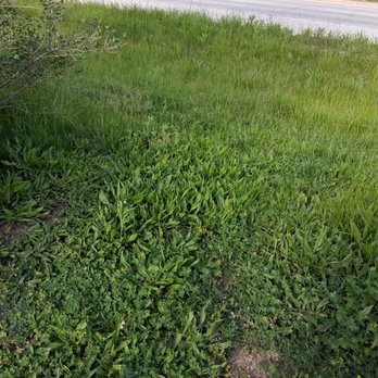 JNE LawnCare - downslope area by the parking lot of our building - Landscaping Near Me JNE LawnCare - downslope area by the parking lot of our building - Landscaping Near Me