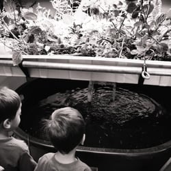 Garden Island Hydro