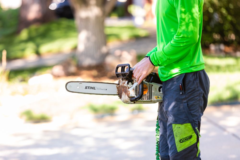 Desert Gardens Outdoor Services - tree service in Albuquerque, NM