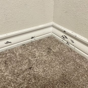 Darwin Homes - Master closet goo - Property Management Near Me Darwin Homes - Master closet goo - Property Management Near Me
