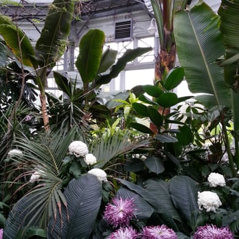 Allan Gardens - Parks Near Me - Toronto, Ontario Allan Gardens - Parks Near Me - Toronto, Ontario