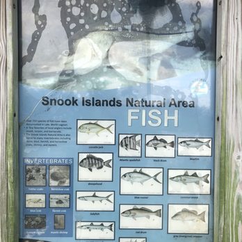 Snook Islands Natural Area - Parks Near Me - Lake Worth, Florida Snook Islands Natural Area - Parks Near Me - Lake Worth, Florida
