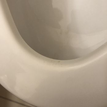 Circus Circus - Fecal matter on toilet - Hotels Near Me - Las Vegas, Nevada Circus Circus - Fecal matter on toilet - Hotels Near Me - Las Vegas, Nevada