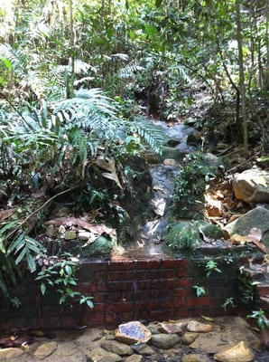 Bukit Timah Hill by null