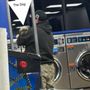 Photo of JK Coin Laundry