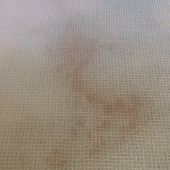 STARK - After Chem Dry cleaning. These are wool certified cleaners (not Jimbo and Willy) and the stain is painfully obvious. - Furniture Stores Near Me - Charlotte, North Carolina STARK - After Chem Dry cleaning. These are wool certified cleaners (not Jimbo and Willy) and the stain is painfully obvious. - Furniture Stores Near Me - Charlotte, North Carolina