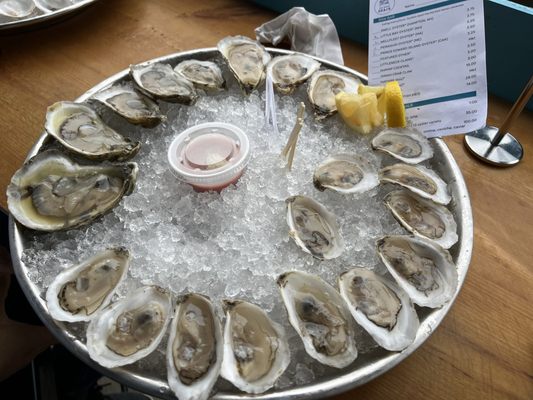 The Shuck Shack by null