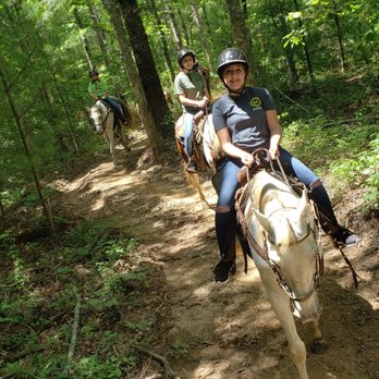 Appalachian Trail Rides - Horseback Riding Near Me - Mineral Bluff, Georgia