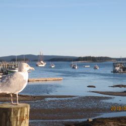 Town of Stonington - Stonington harbor at low tide.
