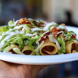Oasis Vegetarian Cafe - The Taquitos