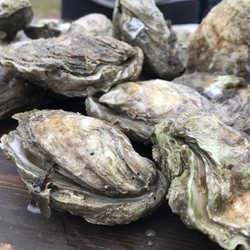 South Carolina Oyster Roast
