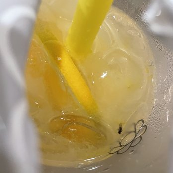 Sunright Tea Studio - That's a fly. - Bubble Tea Near Me - Diamond Bar, California