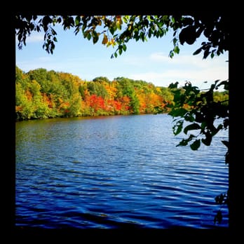 Great Cedar Conservation Area - Shadowrock Lake - Hiking Near Me - Old Saybrook, Connecticut