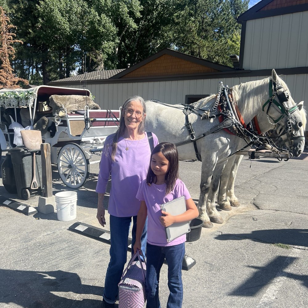 Big Bear Carriages - Event Planning & Services Near Me Big Bear Carriages - Event Planning & Services Near Me