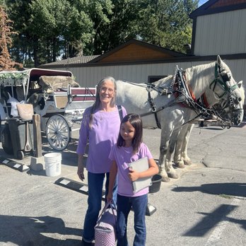 Big Bear Carriages - Event Planning & Services Near Me
