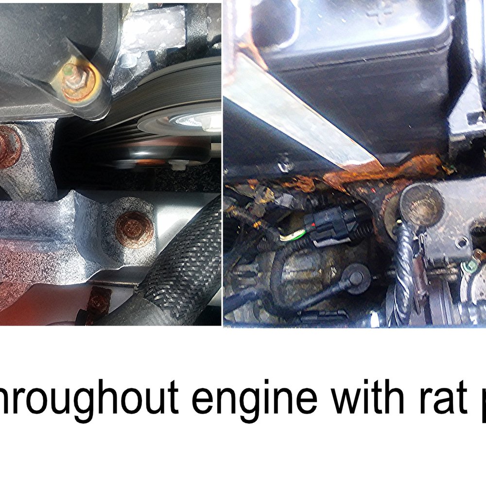 Ferco Motors - RUSTY ENGINE WITH MISSING/BROKEN OILDIPSTICK - Car Dealers Near Me - Miami, Florida Ferco Motors - RUSTY ENGINE WITH MISSING/BROKEN OILDIPSTICK - Car Dealers Near Me - Miami, Florida