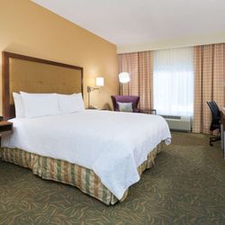 Hampton Inn by Hilton Odessa - Guest room