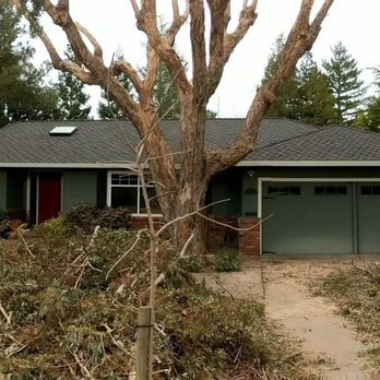 Jim Hageman Roofing - Front view. You can see the crazy tree work going on at the same time - Roofing Near Me - San Jose, California Jim Hageman Roofing - Front view. You can see the crazy tree work going on at the same time - Roofing Near Me - San Jose, California