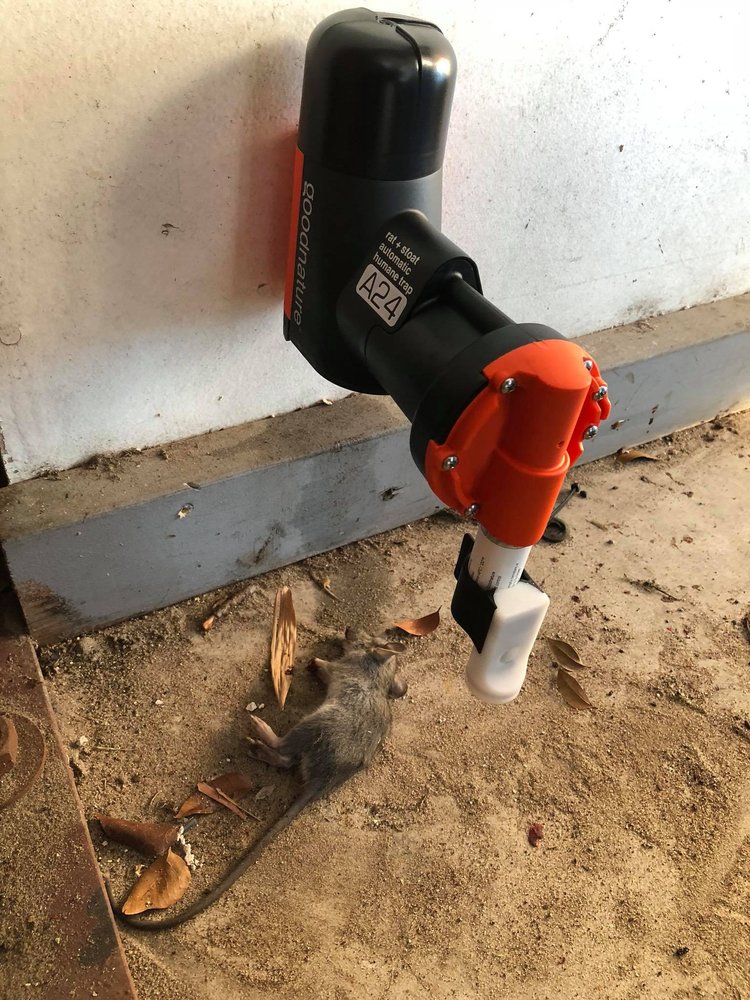 PEST ANIMAL REMOVAL SCRANTON 26 Photos 700 E Parker St, Scranton, Pennsylvania Wildlife