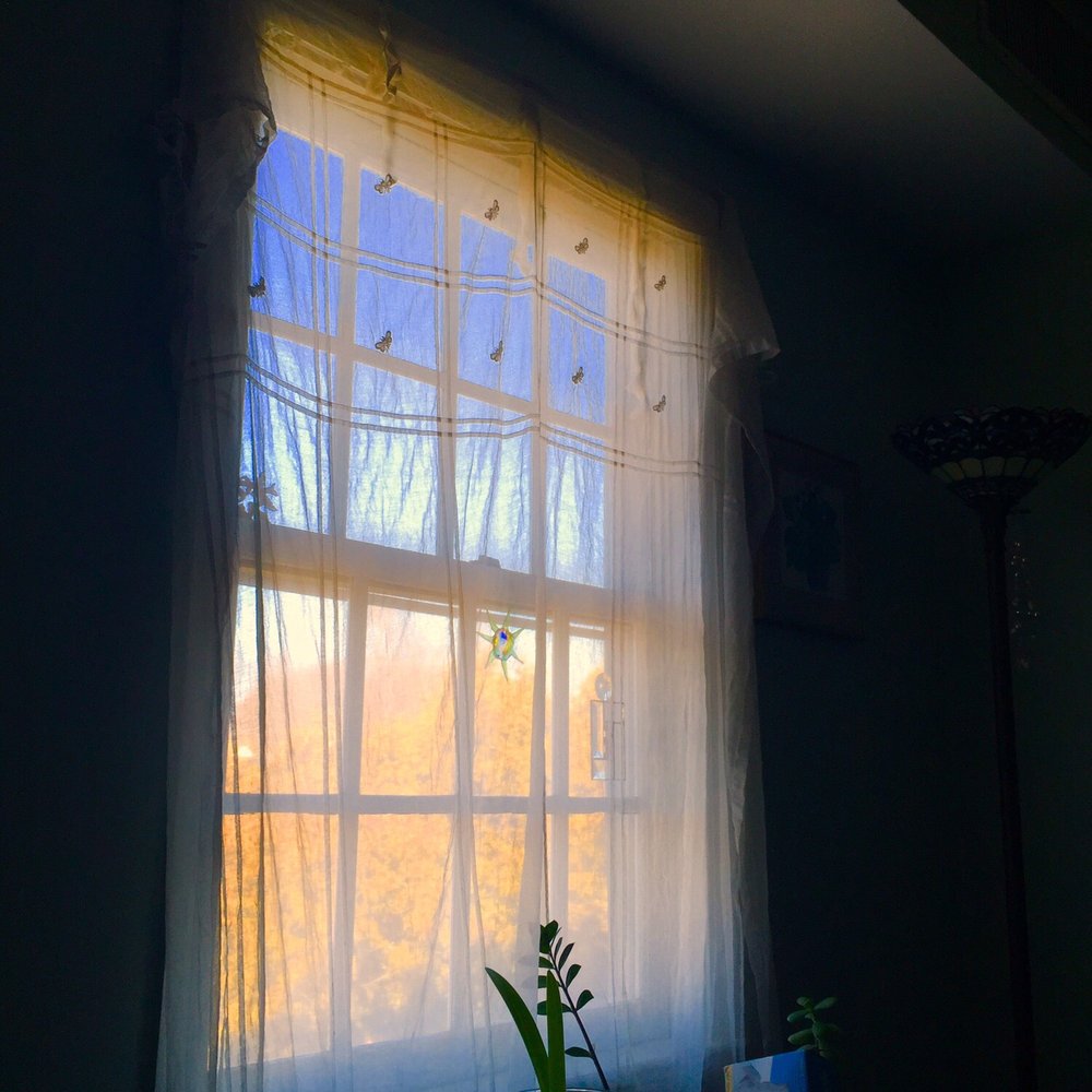 Healing Place - Nice calm view out the window while Helen does her magic. - Reflexology Near Me - Medfield, Massachusetts