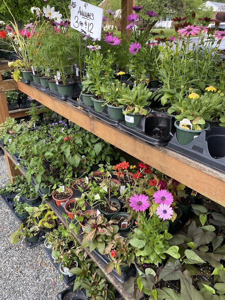 ARNOLD’S MARKET 1776 Friedensville Rd, Bethlehem, Pennsylvania